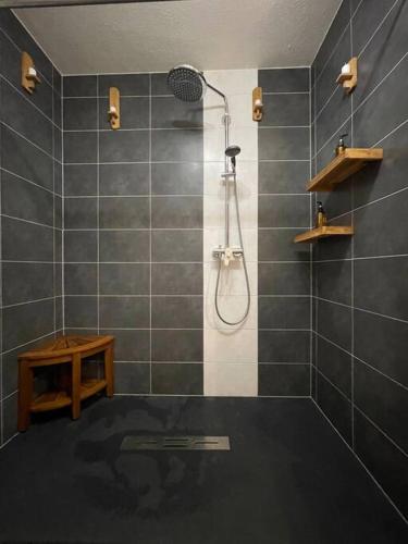 une salle de bain avec une douche avec pommeau de douche dans l'établissement Appartement - Note Boisée - Terrasse & Parking, à Sélestat