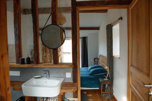 une salle de bain avec un lavabo et un miroir dans l'établissement La tête dans les nuages et les pieds dans l'eau, à Saint-Benoît-en-Diois