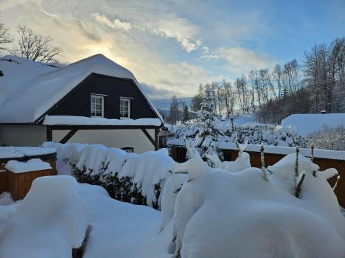 a yard covered in snow with a house at Penzion Ostruznik in Ostružná