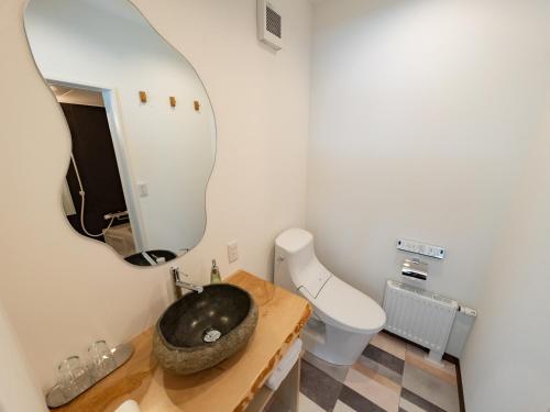 een badkamer met een wastafel en een spiegel bij AIR FURANO in Furano
