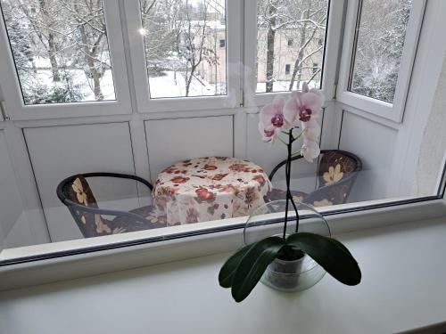 a window with a table and a vase with a flower at Sweet home in Šiauliai