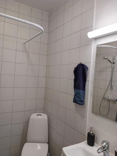 ein Badezimmer mit einem WC, einem Waschbecken und einem Spiegel in der Unterkunft Olsson`s B&B in Randers