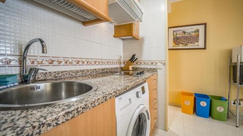 una cucina con lavello e lavatrice di Apartaments Del Meligar a Encamp
