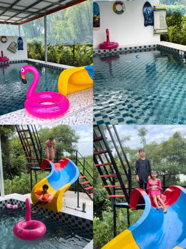 a collage of photos of a swimming pool with a pink and blue swan at ปูณิสาวิลล่าPoonisavilla in Ban Khlong Kao (6)