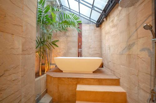 a bathroom with a large sink and a plant at Villa Jado 2 - 3 Bedroom Villa With Private Pool in Kerobokan