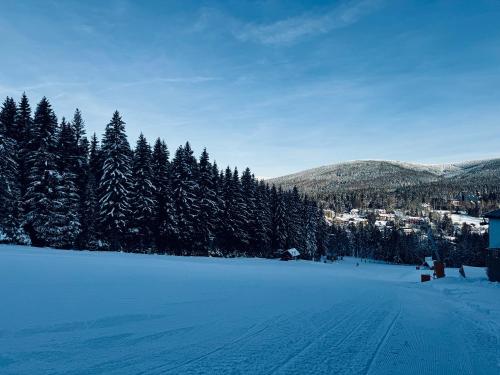 a snow covered field with trees in the background at Myslivna Harrachov in Harrachov