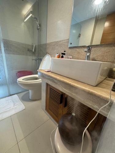 a bathroom with a sink and a toilet at Hibiscus Apartments in Dhaka