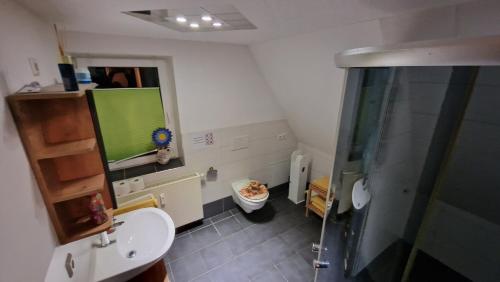 La salle de bains est pourvue d'une télévision murale et de toilettes. dans l'établissement Ferienwohnung Rössewiese, à Schleusingen
