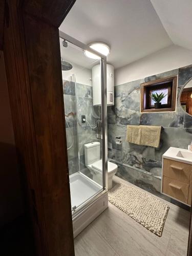 a bathroom with a shower and a toilet and a sink at Black Wolf PĂLTINIȘ in Păltiniş