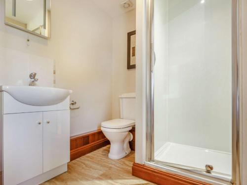 a bathroom with a toilet and a sink and a shower at 2 Bed in Barmouth 89393 in Dyffryn
