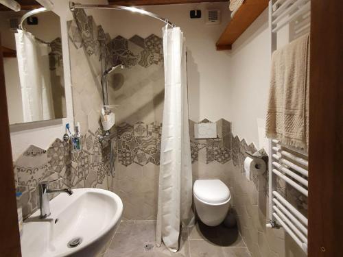 a bathroom with a shower and a toilet and a sink at La casina rossa della fornace in Cutigliano