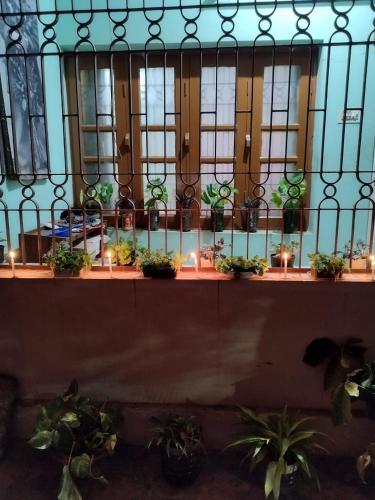 a balcony with potted plants and lights on a fence at Aasiyana in Bhubaneshwar