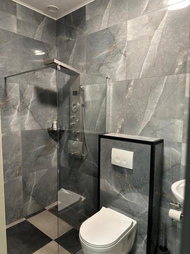 uma casa de banho com um WC e uma cabina de duche em vidro. em B&B Santorini em Maasbree
