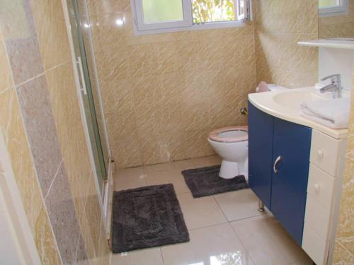 a bathroom with a shower and a toilet and a sink at Studio piscine makosso in Pointe-Noire