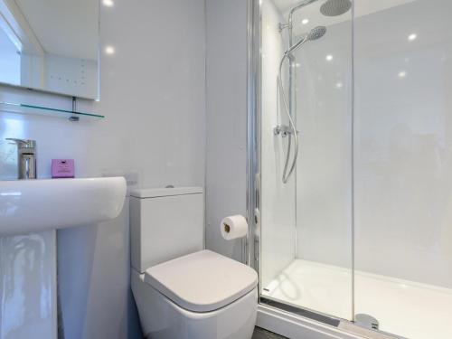 een badkamer met een douche, een toilet en een wastafel bij Y Stabl in New Quay