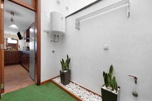 a hallway with two potted plants next to a door at Salsalitre Chico in Garachico