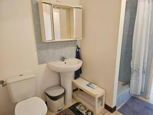 a bathroom with a sink and a toilet and a mirror at Maison en bois au Mont mou in Païta