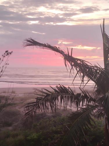 a view of the beach with a palm tree at Casa Amarela a Beira Mar entre Arroio do Sal e Torres in Arroio do Sal