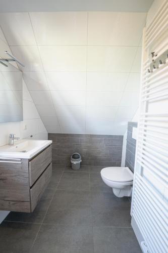 a bathroom with a sink and a toilet at 't Eekhoornnest in Soest