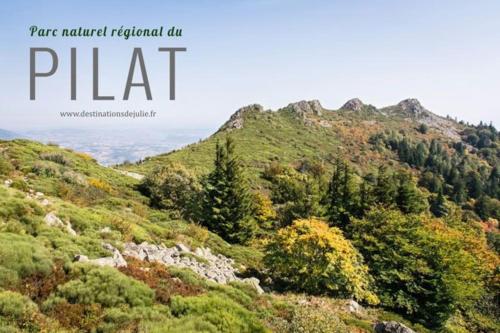 vista su una montagna con alberi di Près de St Étienne et du Parc Naturel Régional du Pilat a Saint-Just-Malmont