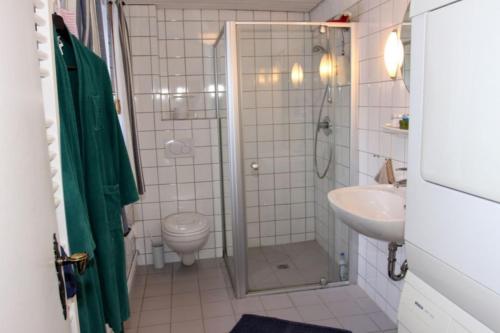 uma casa de banho com um chuveiro, um WC e um lavatório. em Haus Holländerdeich em Dagebüll