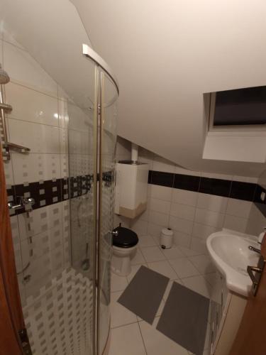 uma casa de banho com um chuveiro, um WC e um lavatório. em Apartman Sesvete em Sesvete