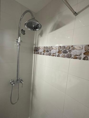 y baño con ducha con cabezal de ducha. en Appartement lumineux, en Saint-Denis