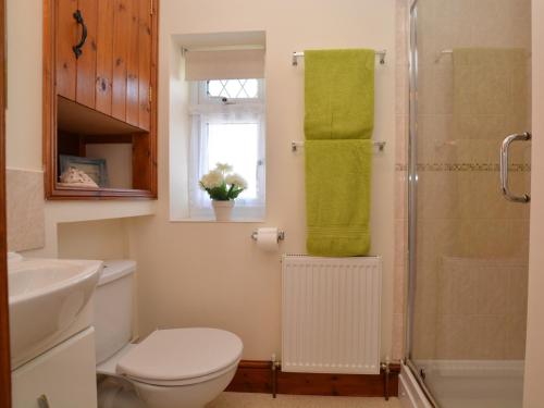 a bathroom with a toilet and a shower at 1 Bed in Bude THENO in Bude