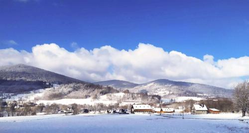 Apartamenty Stara Morawa - Zew Natury