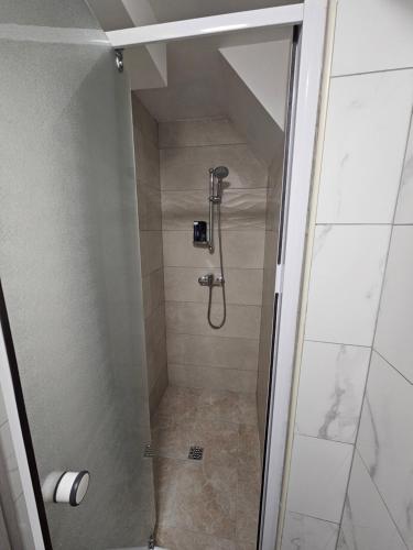 a shower with a glass door in a bathroom at Royal Apartments & Rooms in Zagreb