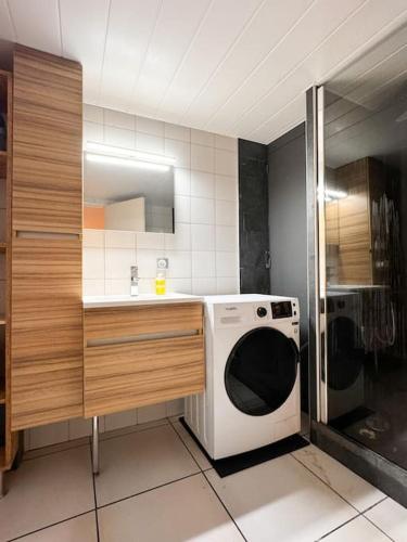 une cuisine avec une machine à laver et un évier dans l'établissement Mulhouse En Douceur, Hypercentre de Mulhouse, à Mulhouse
