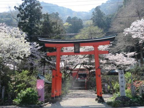a red torii gate in a garden withakura trees at 御宿しんしま in Matsuzaki