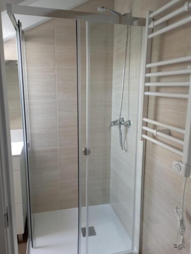 a shower with a glass door in a bathroom at Atico Salvadas in Santiago de Compostela