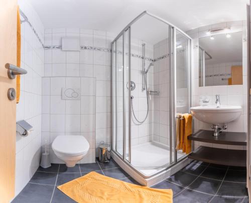 a bathroom with a shower and a toilet and a sink at Haus Montana in Damuls