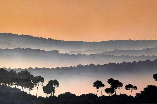 Villa sous les pins, plage à pied! Seignosse Océan