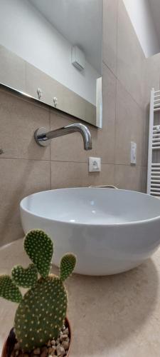 a white sink in a bathroom with a cactus at PugliaMia Casa, terrasse vue mer, 3 chambres, 2 salles d'eau in Carovigno