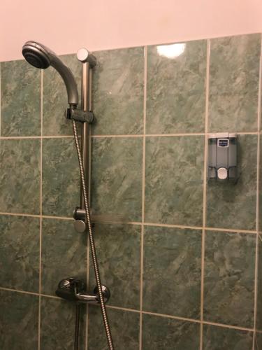 a shower in a bathroom with a shower head at H&T Pension-Restaurant in Jigodinu