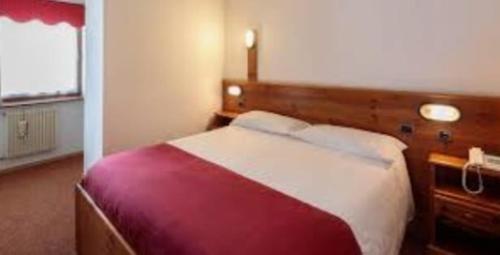 um quarto de hotel com uma cama e uma janela em Residence Miramonti Corvara em Corvara in Badia
