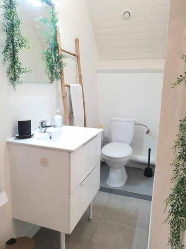 uma casa de banho com um lavatório branco e um WC. em Studio Coquet - Comme à la maison - Loïc Nantes em Sautron