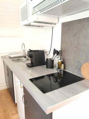 uma cozinha com um balcão com um lavatório em Studio Coquet - Comme à la maison - Loïc Nantes em Sautron
