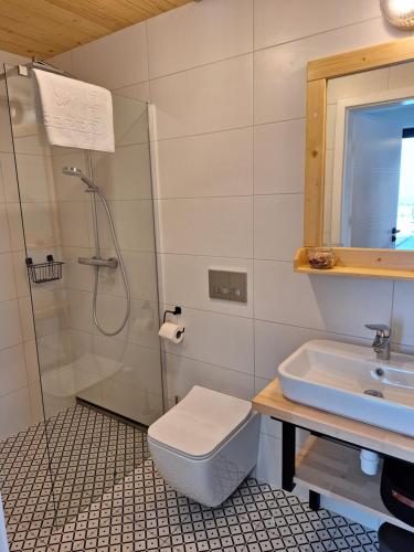 uma casa de banho com um chuveiro, um WC e um lavatório. em Domki Szczyt Beztroski - Sauna, Jacuzzi em Nowy Targ