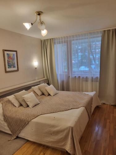 a bedroom with a large bed with a window at Apartamentai Taikos 10-36 Nida in Nida