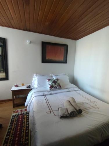sypialnia z łóżkiem z 2 kapciami w obiekcie Habitación ITCI – Terminal Salitre w mieście Bogota