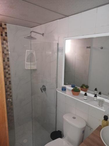 e bagno con doccia, servizi igienici e lavandino. di Habitación ITCI – Terminal Salitre a Bogotá