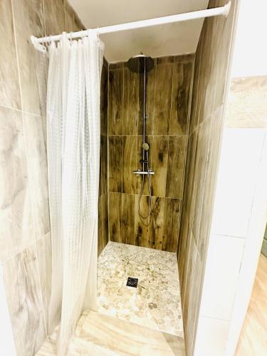 Santa-Reparata-di-BalagnaにあるMaison de village à 10 min d'Ile Rousseのシャワーカーテン付きのシャワー付きバスルーム