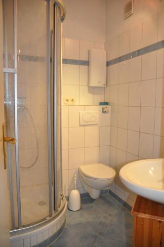 a bathroom with a toilet and a shower at Burgtiefe Südstrand "Windflüchter" in Fehmarn