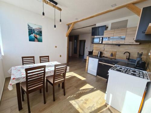 Kuchyň nebo kuchyňský kout v ubytování apartmán Sára