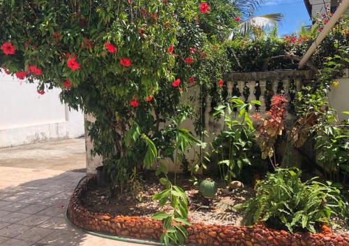 a garden with red flowers and a fence at Casa de praia in Caucaia