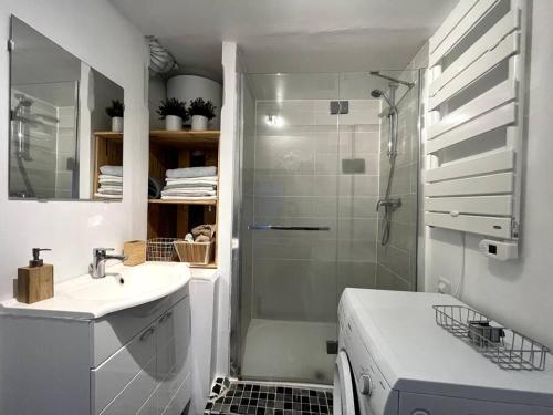 ein Badezimmer mit Dusche, Waschbecken und Toilette in der Unterkunft The Red and Black retreat - Fontainebleau Center in Fontainebleau