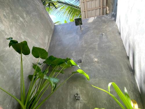 Fotografie z fotogalerie ubytování Kithul house v destinaci Talpe